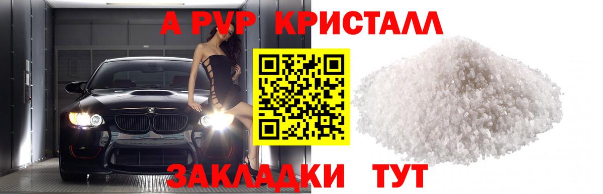 Альфа ПВП СК Шахты