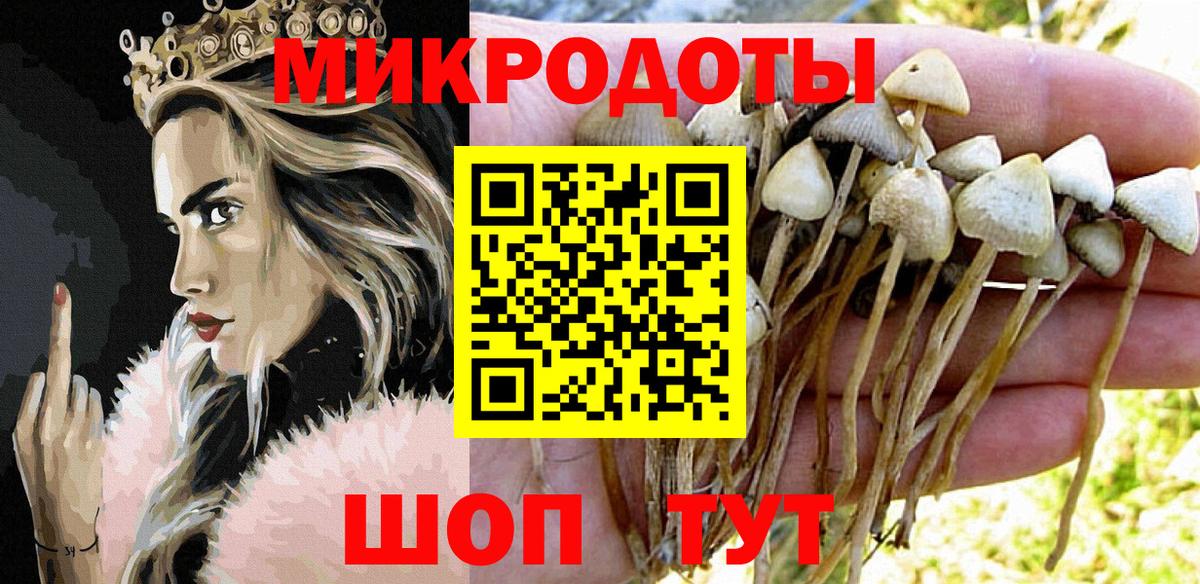 Галлюциногенные грибы GOLDEN TEACHER Шахты