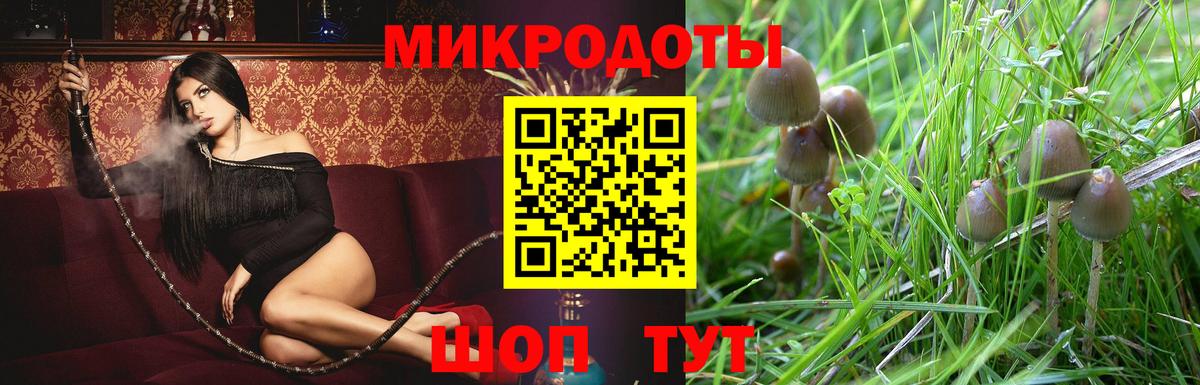 Галлюциногенные грибы MAGIC MUSHROOMS  Вход с VPN  Шахты 